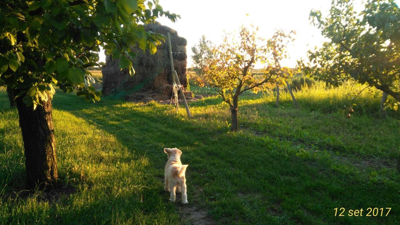 Agriturismo Taglio Del Re Villa Jesolo Exterior photo